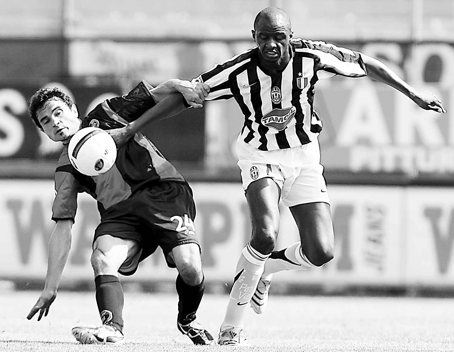 荷兰选手维 荷兰选手维