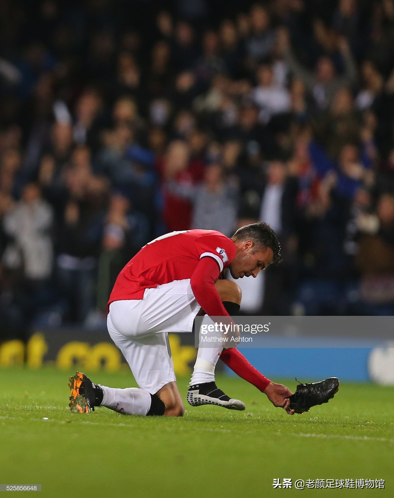 的表现的一 的表现的一